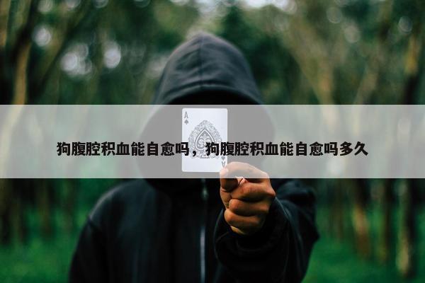 狗腹腔积血能自愈吗，狗腹腔积血能自愈吗多久