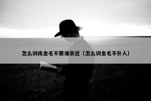 怎么训练金毛不要谁亲近（怎么训金毛不扑人）