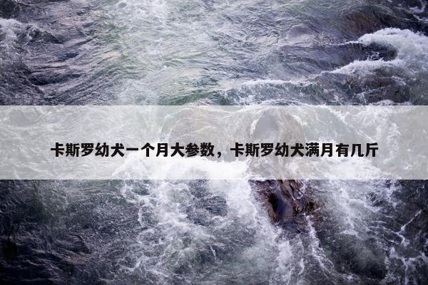 卡斯罗幼犬一个月大参数，卡斯罗幼犬满月有几斤