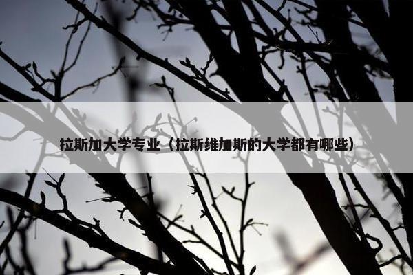 拉斯加大学专业（拉斯维加斯的大学都有哪些）