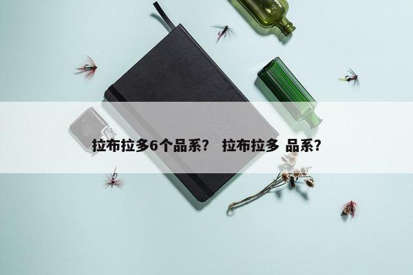 拉布拉多6个品系？ 拉布拉多 品系？