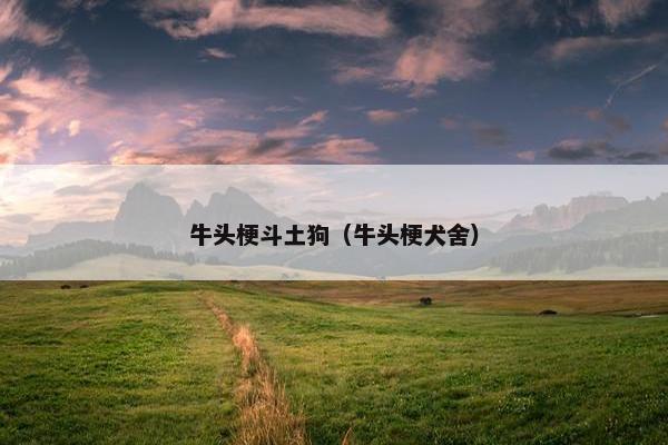 2025年6月4日 第5页