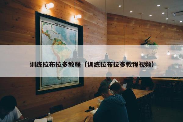 训练拉布拉多教程（训练拉布拉多教程视频）
