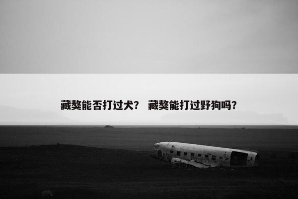 藏獒能否打过犬？ 藏獒能打过野狗吗？