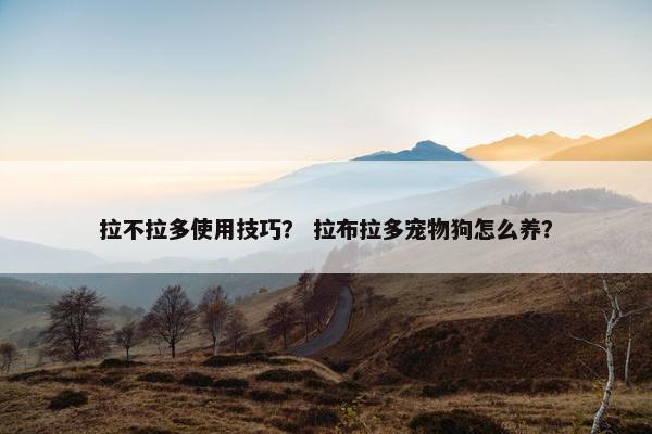 拉不拉多使用技巧？ 拉布拉多宠物狗怎么养？