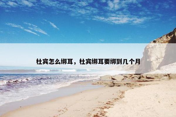 杜宾怎么绑耳，杜宾绑耳要绑到几个月