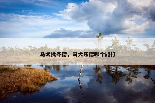 马犬批冬德，马犬东德哪个能打