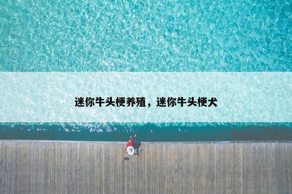 迷你牛头梗养殖，迷你牛头梗犬
