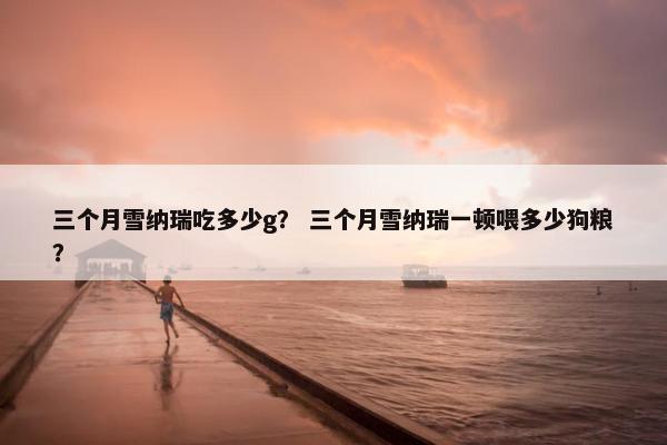 三个月雪纳瑞吃多少g？ 三个月雪纳瑞一顿喂多少狗粮？