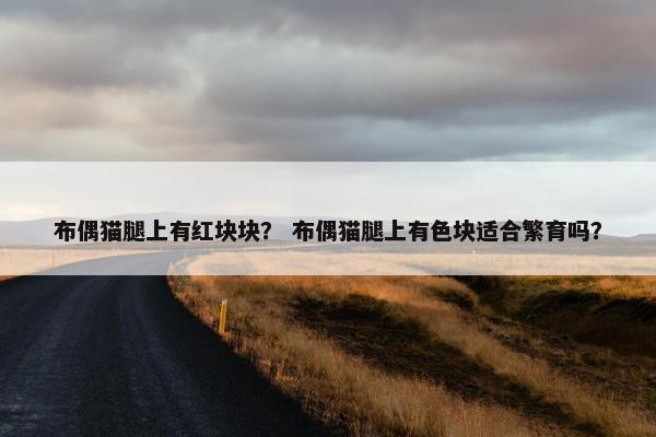 布偶猫腿上有红块块？ 布偶猫腿上有色块适合繁育吗？