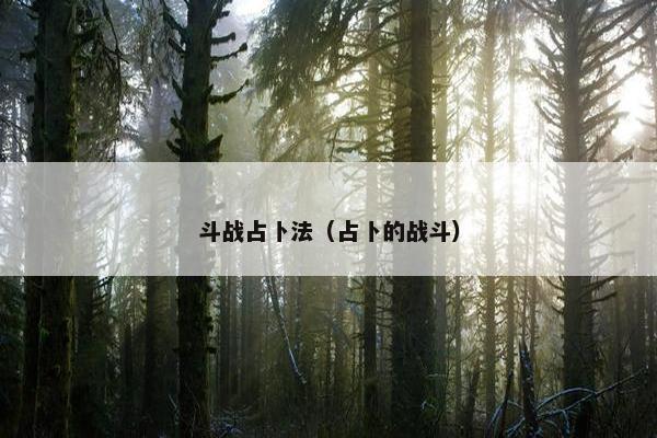 斗战占卜法（占卜的战斗）