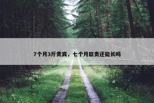 7个月3斤贵宾，七个月巨贵还能长吗