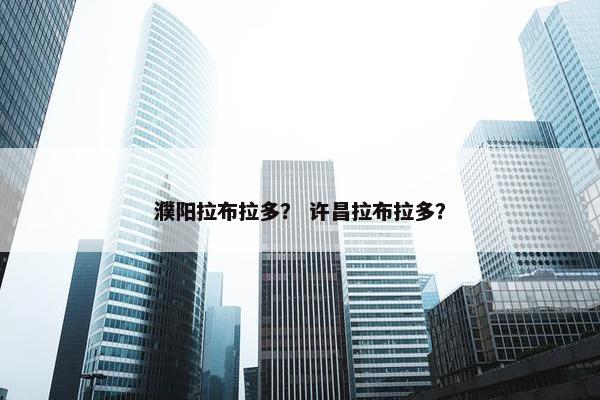 濮阳拉布拉多？ 许昌拉布拉多？