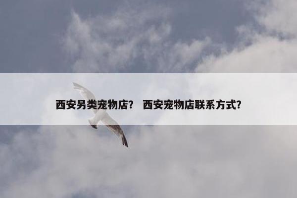 西安另类宠物店？ 西安宠物店联系方式？