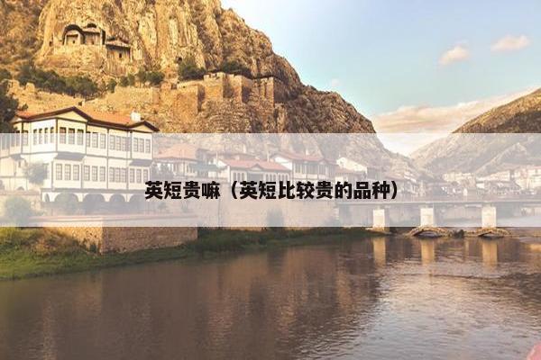 英短贵嘛（英短比较贵的品种）