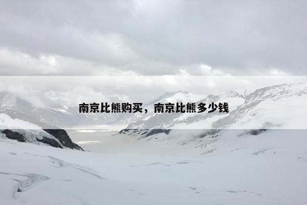 南京比熊购买，南京比熊多少钱