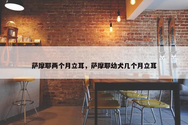 萨摩耶两个月立耳，萨摩耶幼犬几个月立耳
