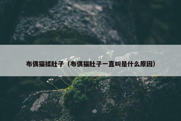 布偶猫揉肚子（布偶猫肚子一直叫是什么原因）