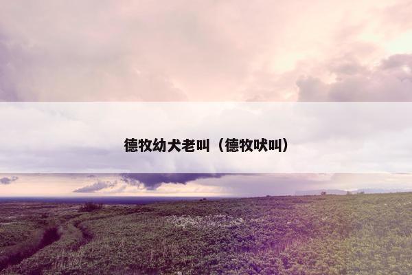 德牧幼犬老叫（德牧吠叫）