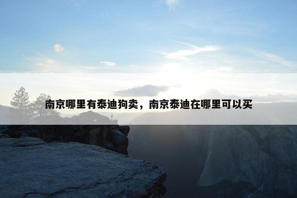 南京哪里有泰迪狗卖，南京泰迪在哪里可以买