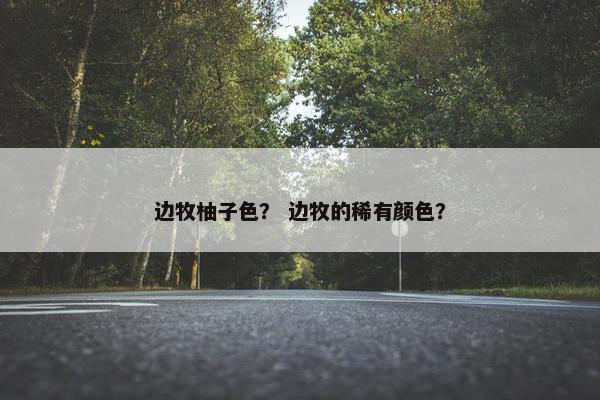 边牧柚子色？ 边牧的稀有颜色？