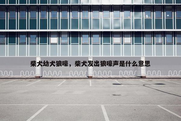 柴犬幼犬狼嚎，柴犬发出狼嚎声是什么意思