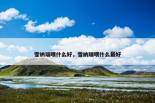 雪纳瑞喂什么好，雪纳瑞喂什么最好