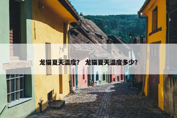 龙猫 第7页