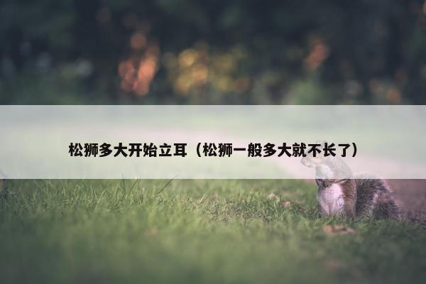 2025年6月5日 第10页