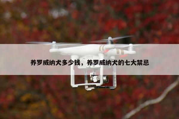 养罗威纳犬多少钱，养罗威纳犬的七大禁忌