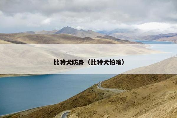 比特犬防身（比特犬怕啥）