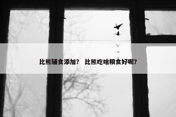 比熊辅食添加？ 比熊吃啥粮食好呢？
