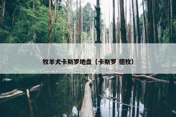 牧羊犬卡斯罗地盘（卡斯罗 德牧）