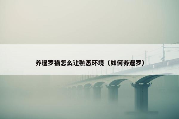 2025年6月5日 第9页