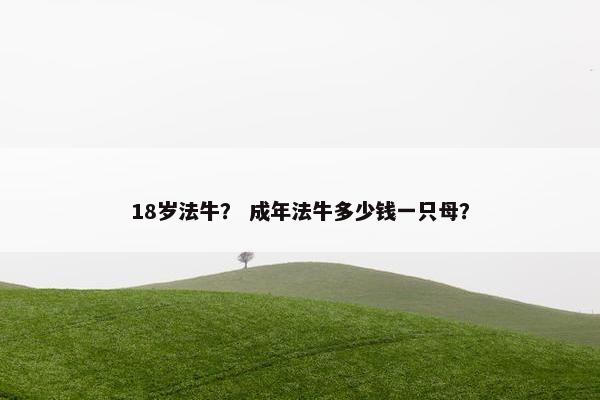 法牛 第6页