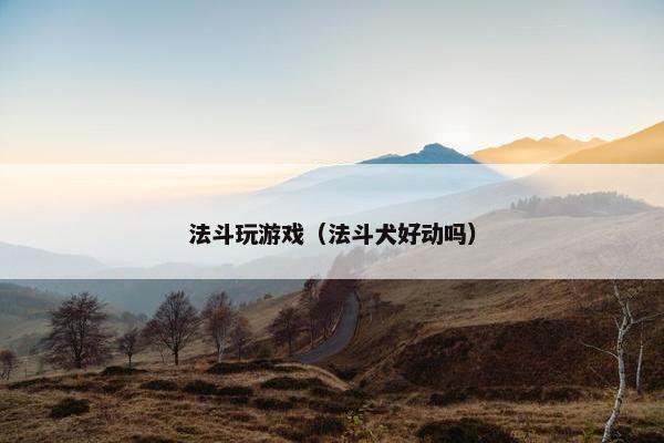 法斗玩游戏（法斗犬好动吗）