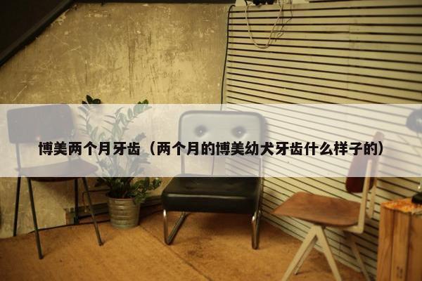 博美两个月牙齿（两个月的博美幼犬牙齿什么样子的）