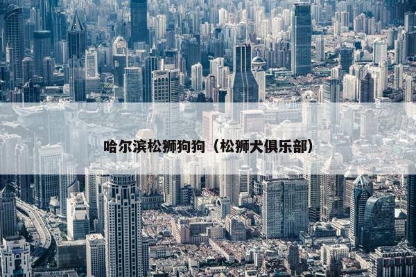 哈尔滨松狮狗狗（松狮犬俱乐部）