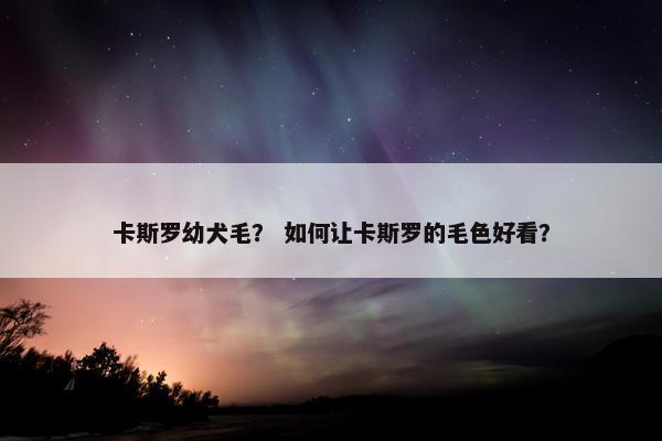 卡斯罗幼犬毛？ 如何让卡斯罗的毛色好看？