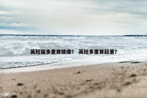 英短猫多重算健康？ 英短多重算超重？