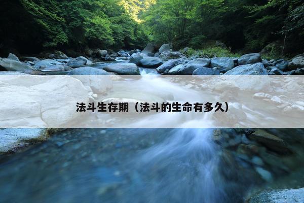 法斗生存期（法斗的生命有多久）