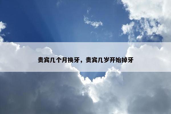 贵宾几个月换牙，贵宾几岁开始掉牙