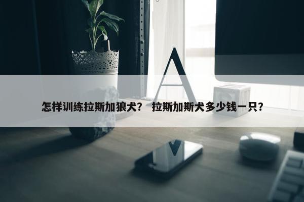 怎样训练拉斯加狼犬？ 拉斯加斯犬多少钱一只？