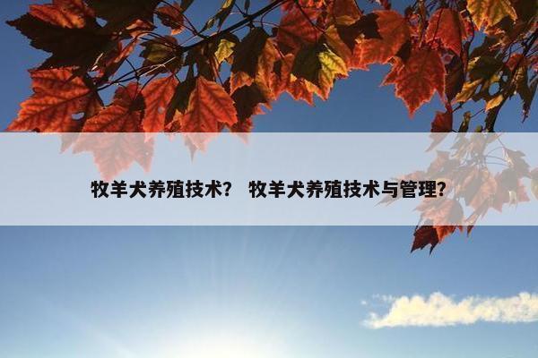牧羊犬养殖技术？ 牧羊犬养殖技术与管理？