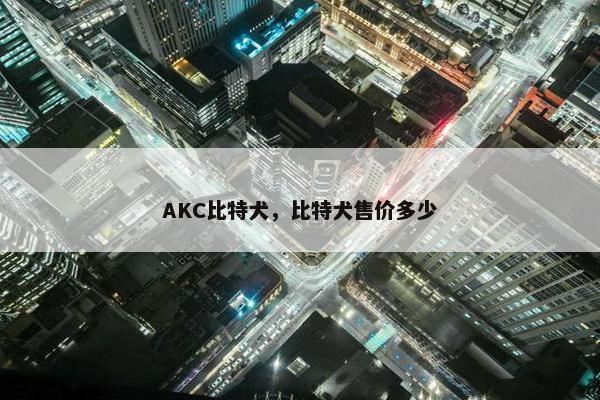 AKC比特犬，比特犬售价多少