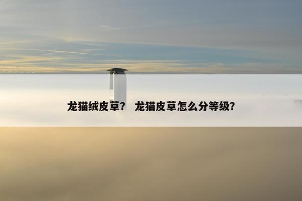 龙猫绒皮草？ 龙猫皮草怎么分等级？
