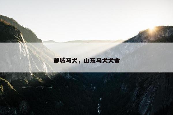 鄄城马犬，山东马犬犬舍