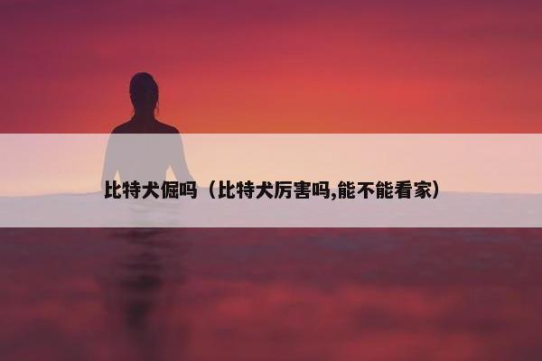 比特犬倔吗（比特犬厉害吗,能不能看家）