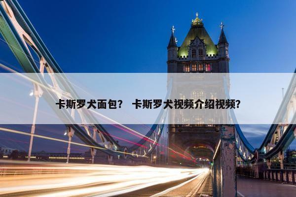 卡斯罗犬面包？ 卡斯罗犬视频介绍视频？