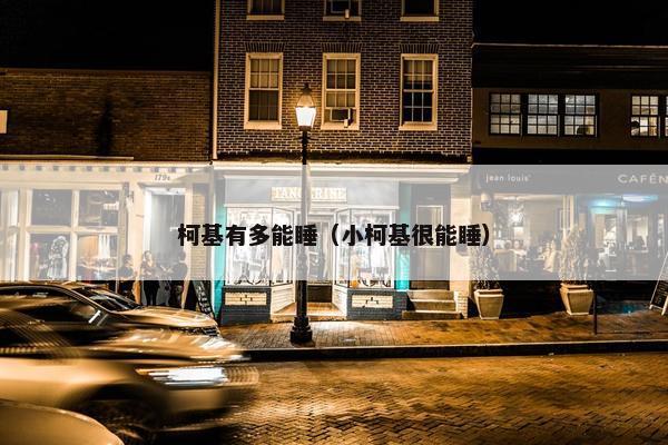 柯基有多能睡（小柯基很能睡）